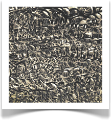 Austin Artit Art Gallery Museum Shopping